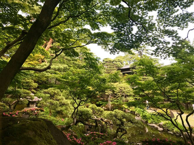 Circumnavigation of Japan: Sacred Isles & Northern Shores