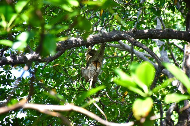 Belize, Costa Rica & Panama Cruise: Belize City, Puerto Limon & Panama City