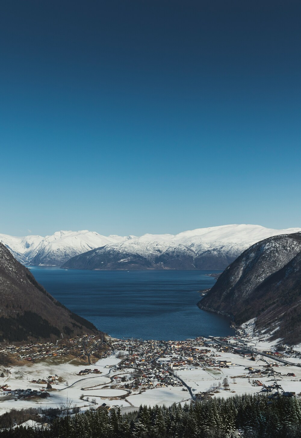 Vik