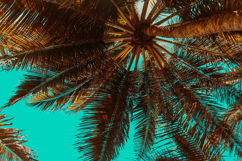 West Palm Beach, Florida