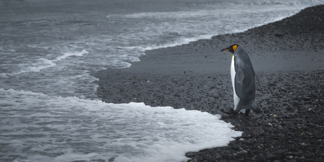 Ventures By Seabourn®