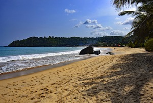 Tema