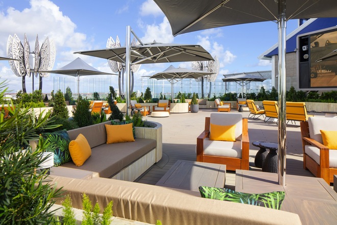 Rooftop Garden
