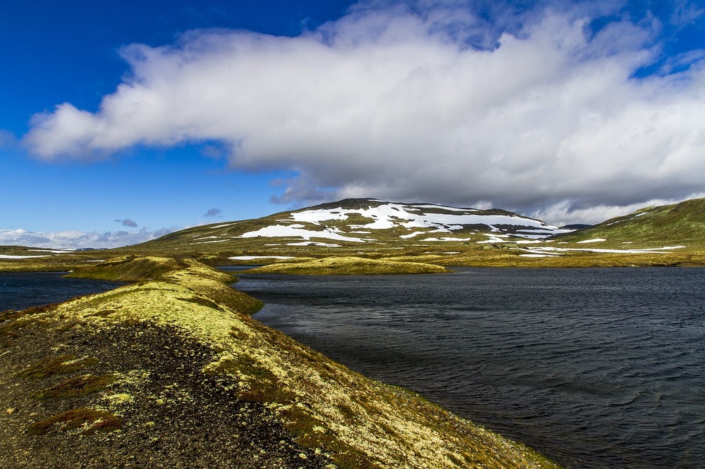Skarsvåg