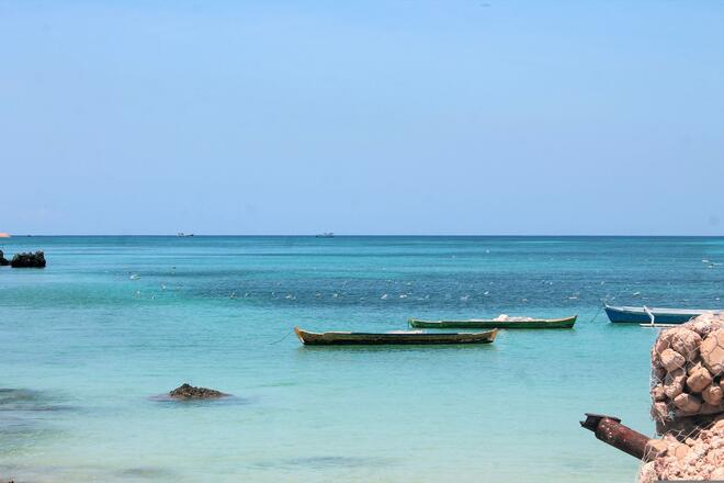 The Coral Sea & the Dragon Isles