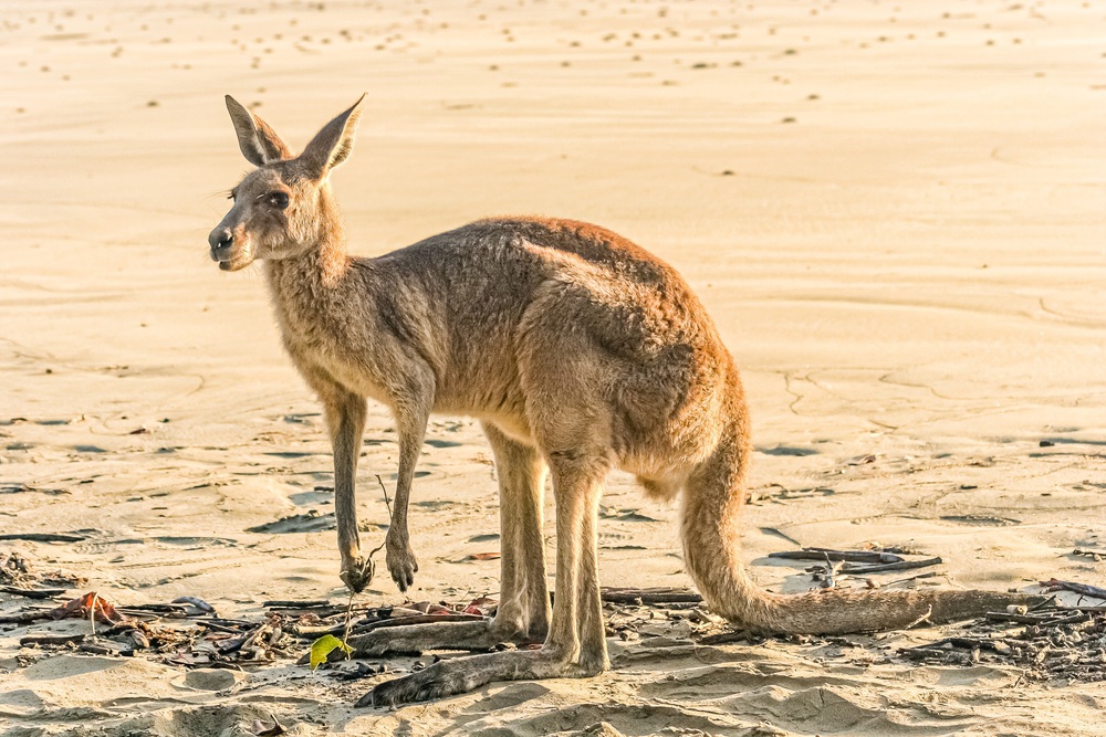 Esperance, Western Australia