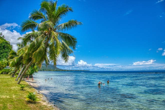 Star Collector: Journey of the South Pacific Seafarer