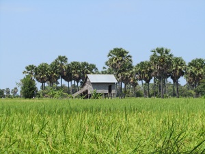 Chong Koh Village