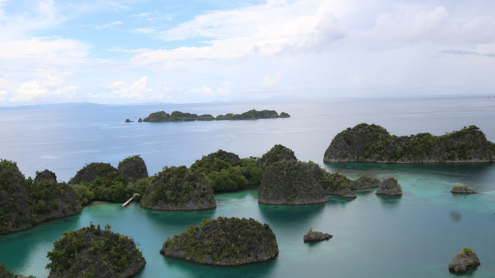 Cruise Image 1