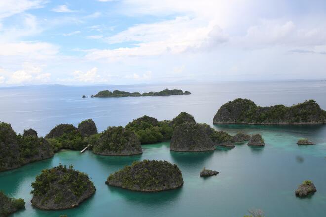 Australia's Top End & Indonesia