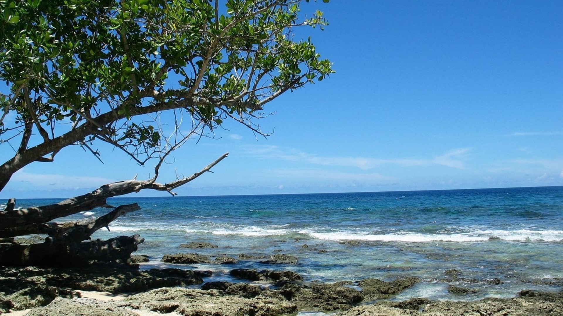 Cruise Image 6