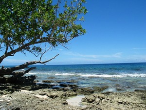 Mommon Peninsula, West Papua