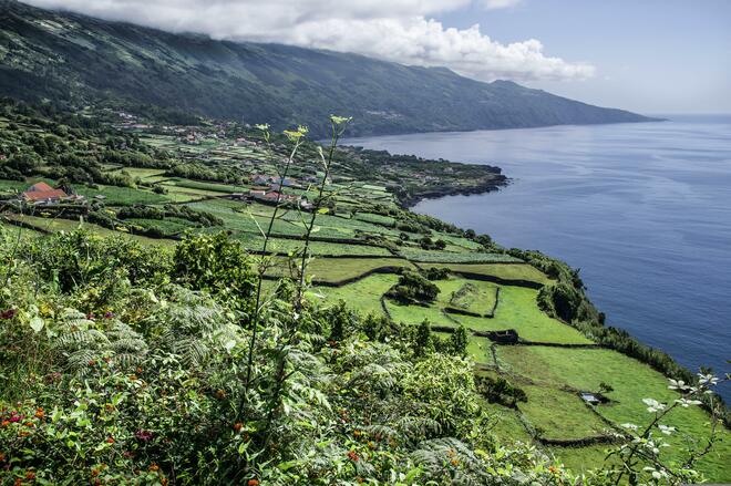 Expedition Azores: An Atlantic Hiker’s Paradise