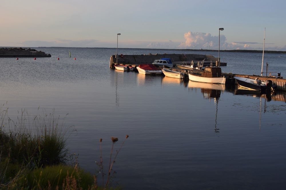 Djupavik