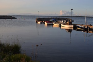 Djupavik