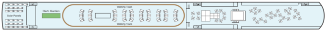 Sun Deck