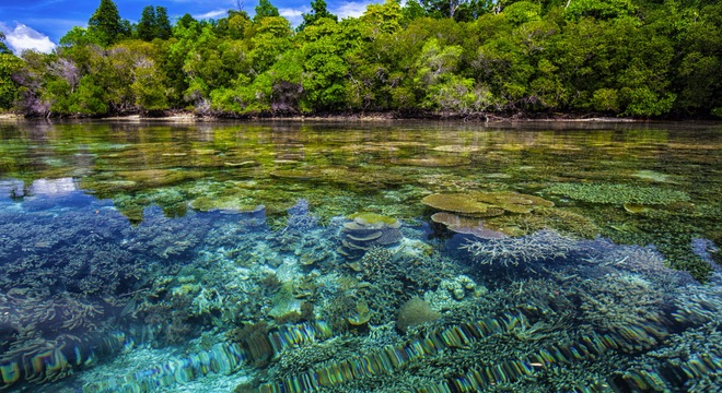 Exploring the Malay Archipelago