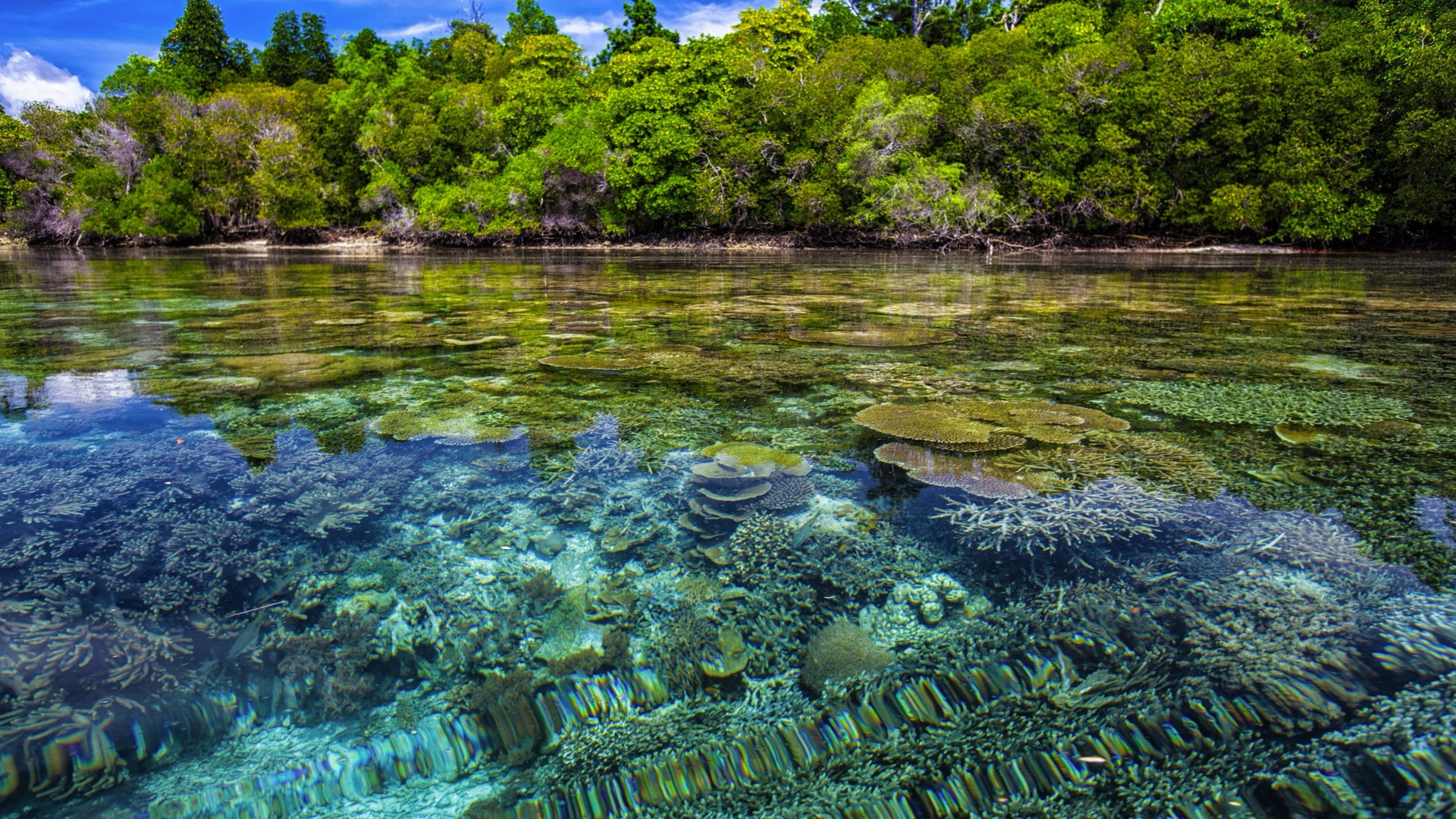 Cruise Image 15