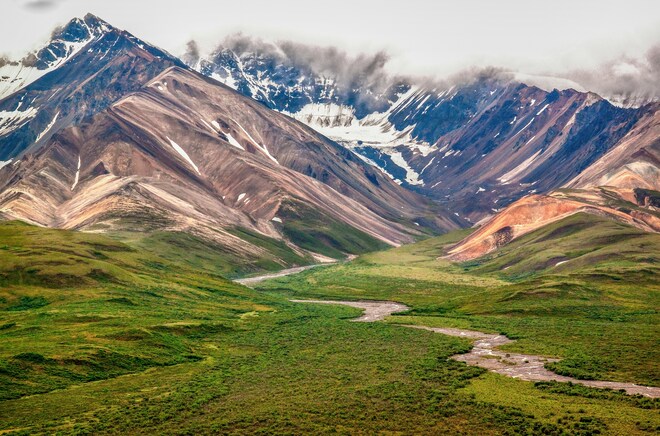 10-Day Signature Denali D0L
