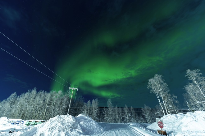 Alaskan Explorations & Denali Cruise Tour