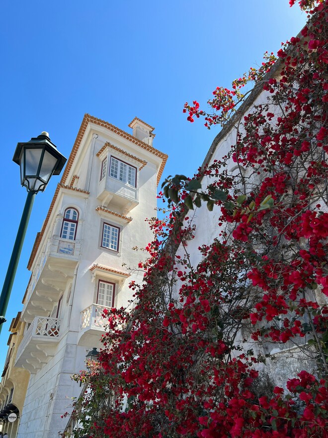 Flavours of Portugal, Spain and France