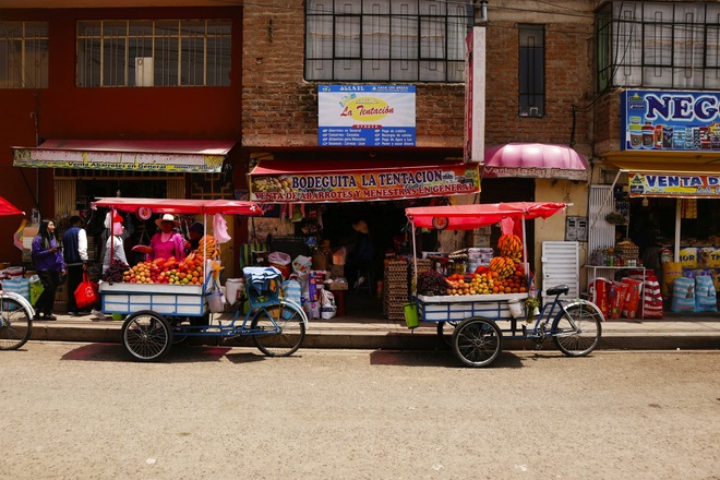 Highlights of South America and Chilean Fjords Cruise