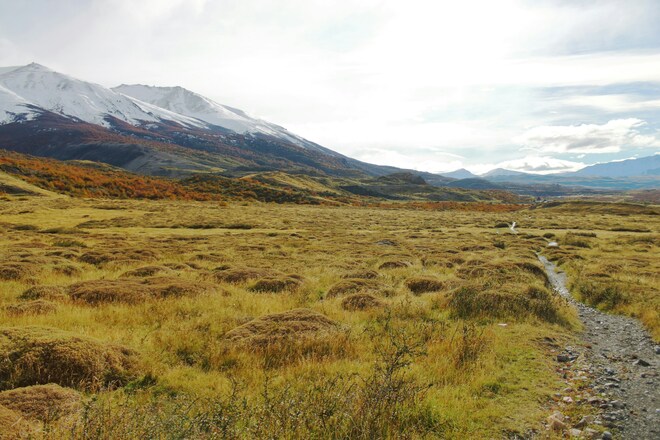 Ultimate Journey: Patagonia, Argentina, Brazil & Antarctica - Cruise & Land Journey
