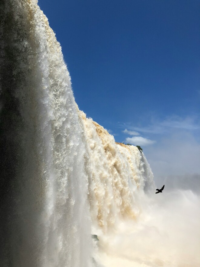 Highlights of Antarctica, Argentina and Brazil - Cruise & Land Journey