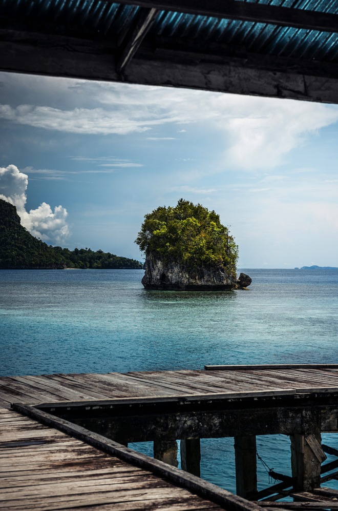In The Wake of Wallace: Indonesia & Borneo