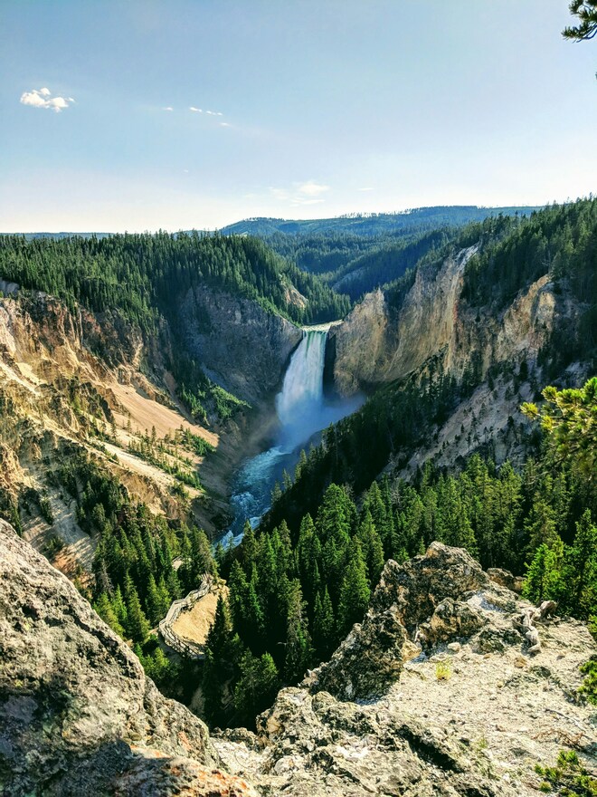 Yellowstone Awakens:  Spring & Fall