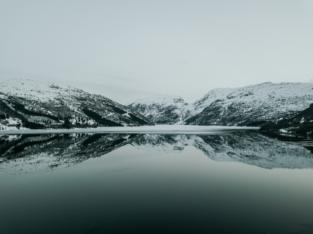 Odda