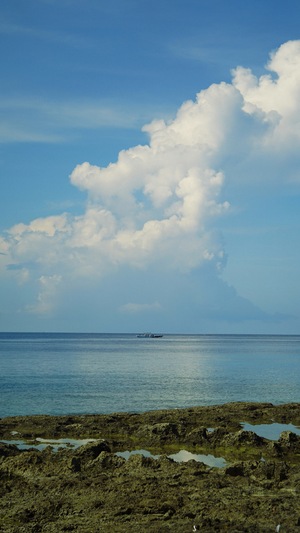 Ambon Island
