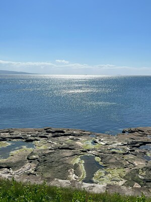 Troon