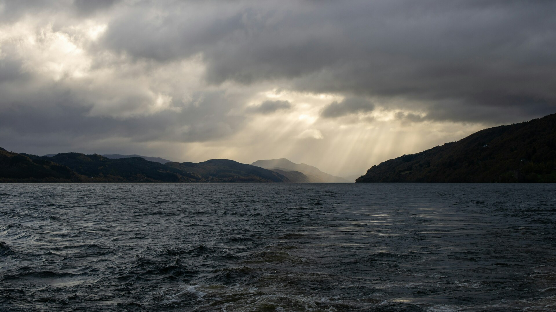 Cruise Image 2