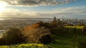 Auckland Islands