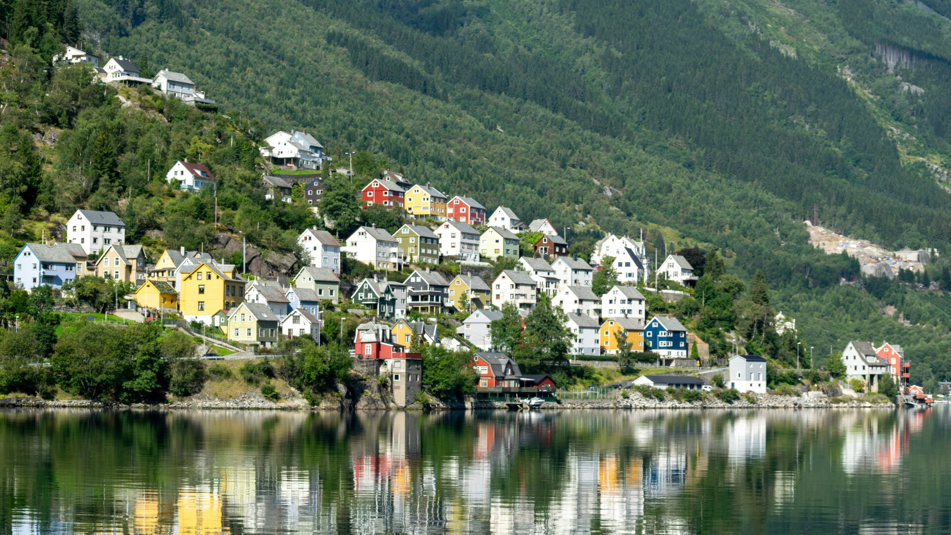 Cruise Image 27