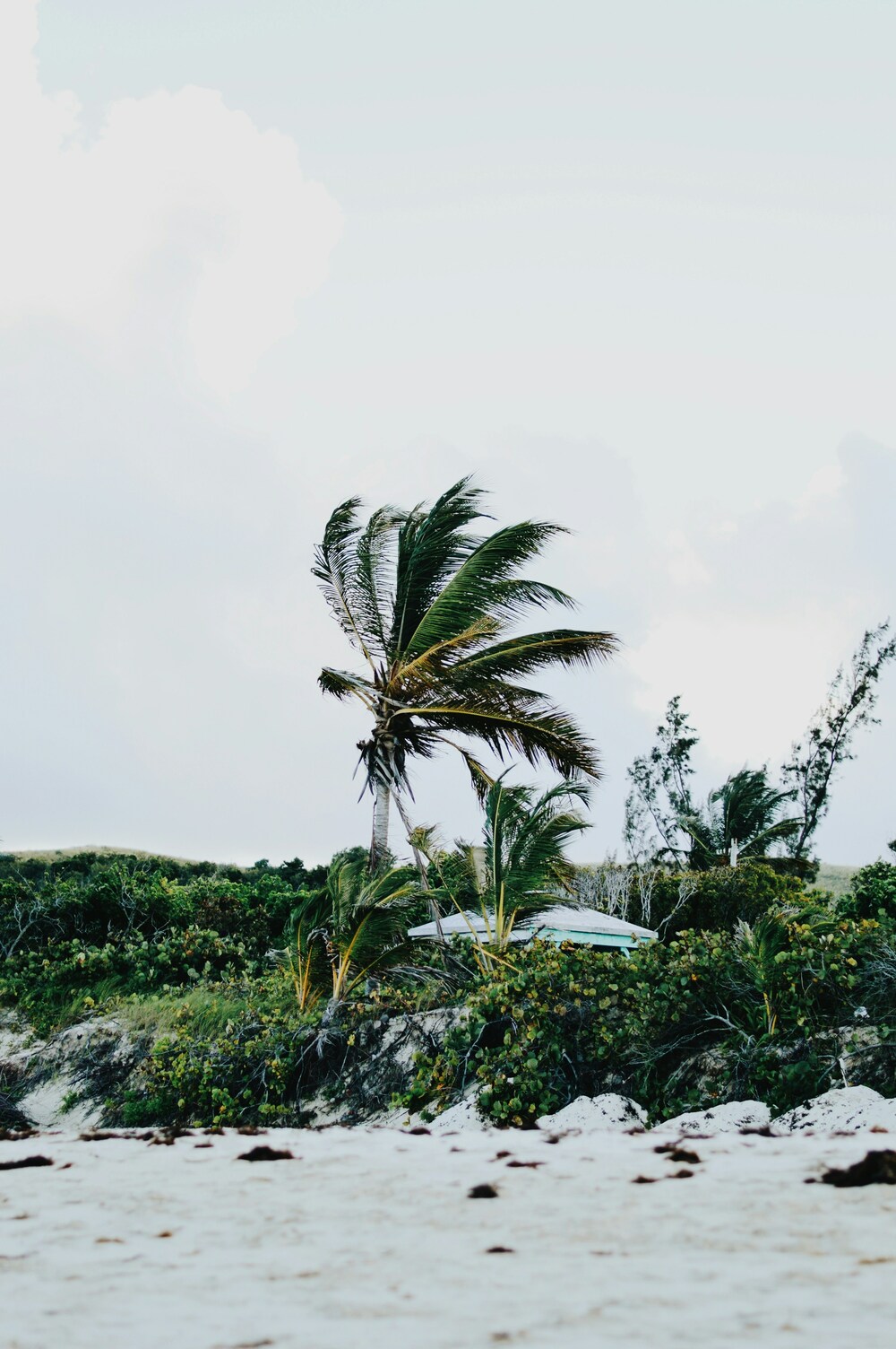 Culebra Island