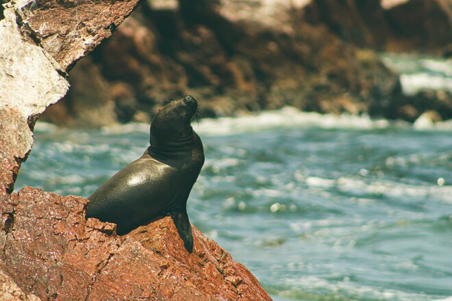 The Chairman’s Voyage: Ultimate Ancient Treasures, Fjords & Wonders of South America