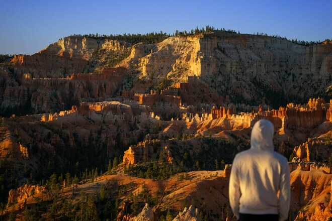Bryce & Zion: Sculpted by Time