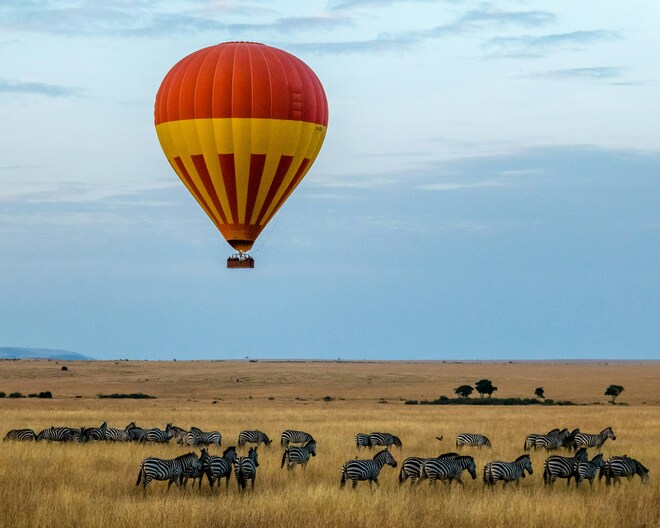 Safari and The Seychelles - Cruise & Land Journey
