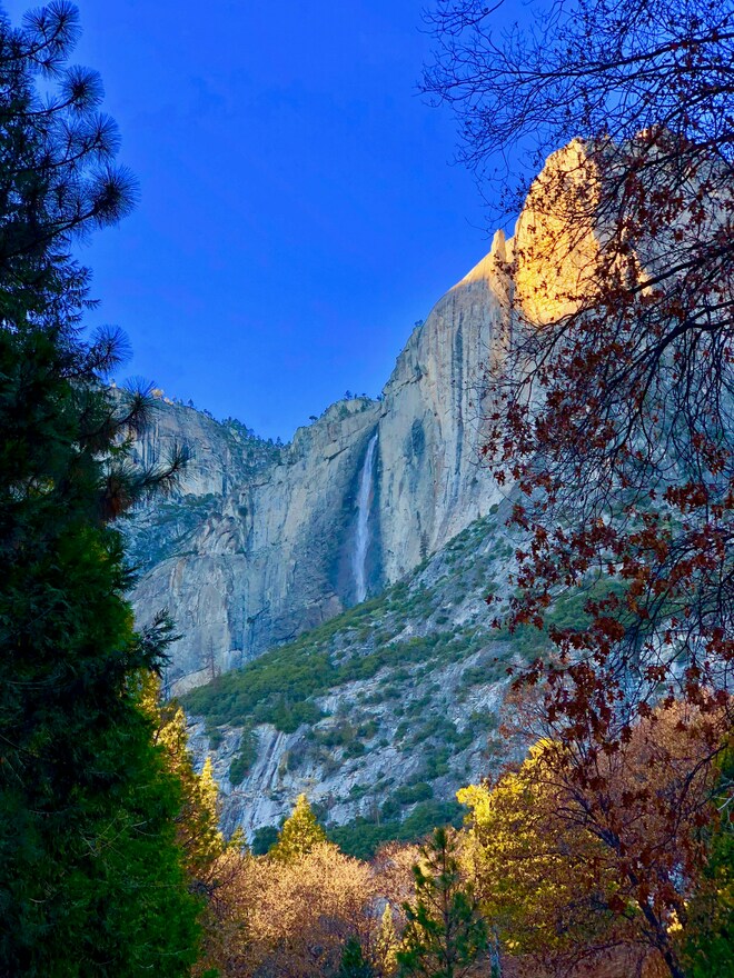 Yosemite and Sequoia: John Muir's California