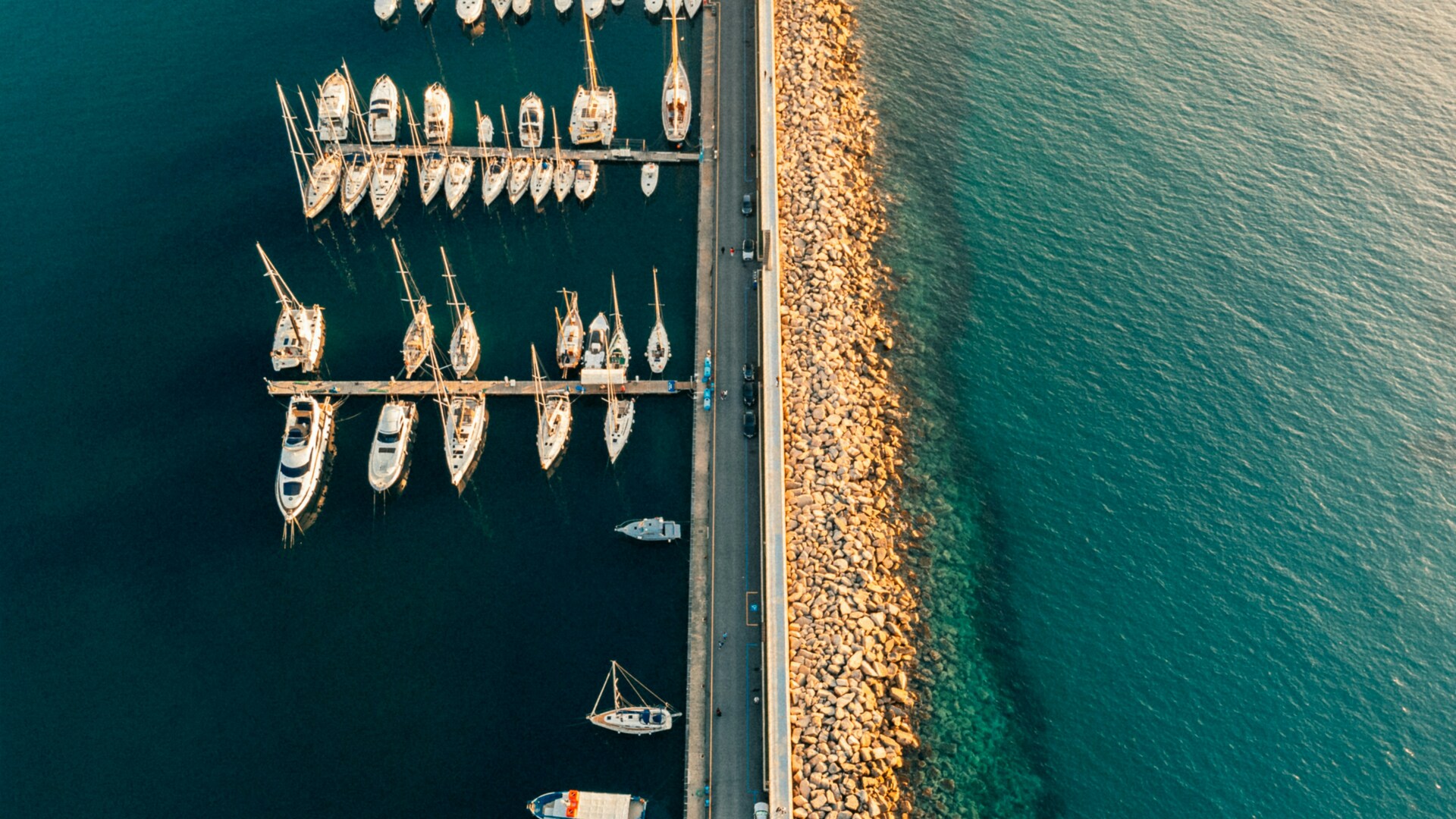 Cruise Image 1