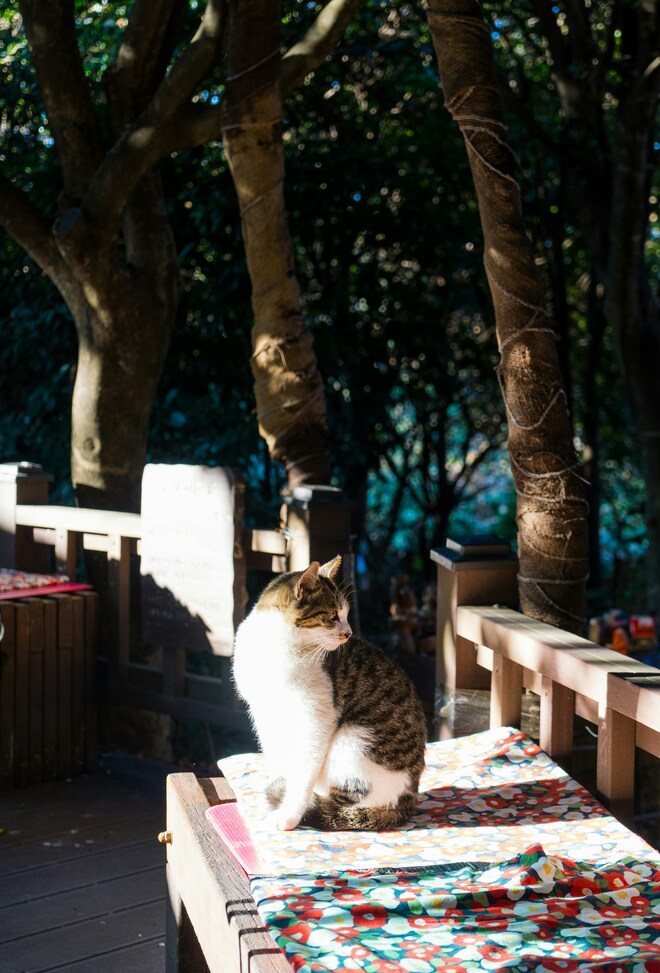 China, Korea & Japan Combination Cruise: Beijing, Seoul & Tokyo