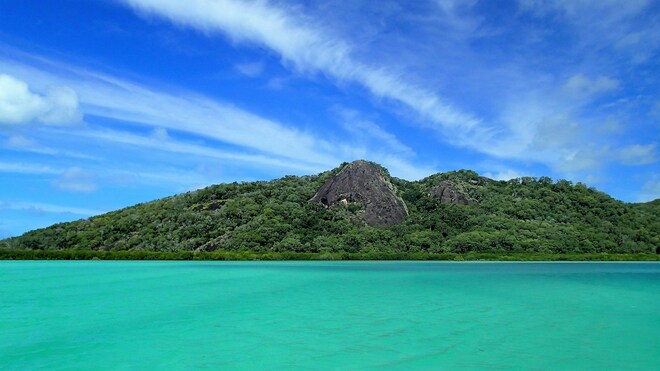 Coral Reefs & Wild Shores