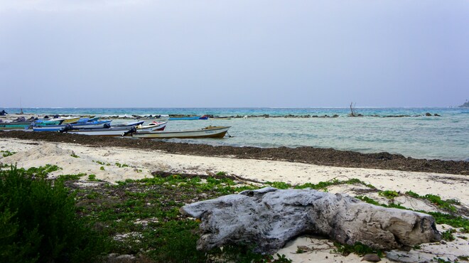 Cartagena Gold & the Turquoise Reef III