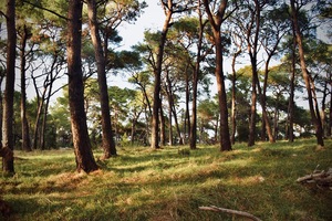 Mali Losinj