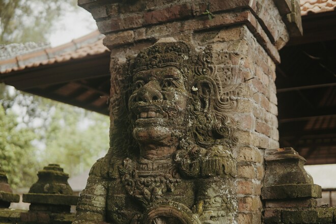In The Wake of Wallace: Indonesia & Borneo