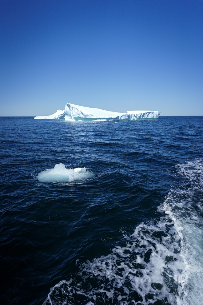 Wilderness from Greenland to the East Coast of Canada