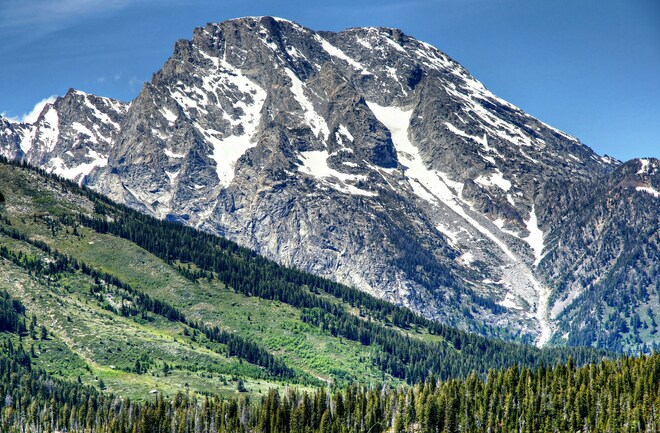 Yellowstone & the Tetons: American Safari