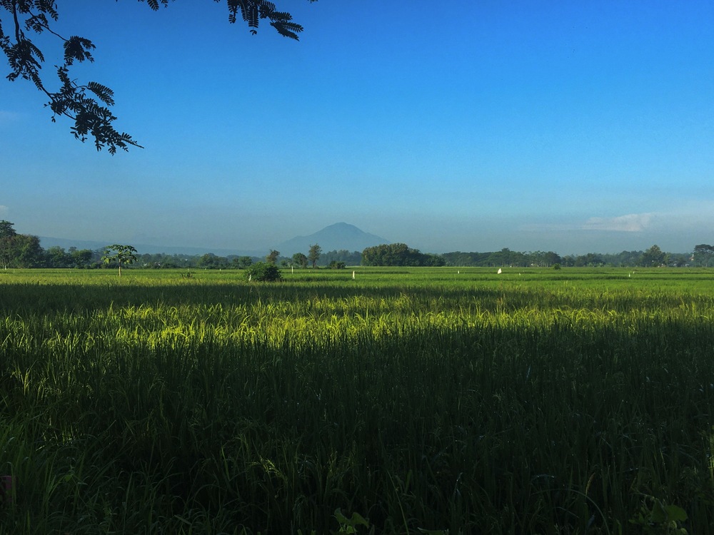 Probolinggo